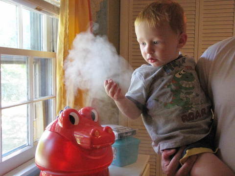 Warm mist humidifier for croup