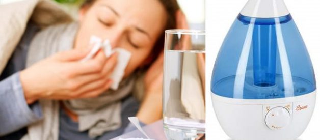 best humidifier for the bedroom