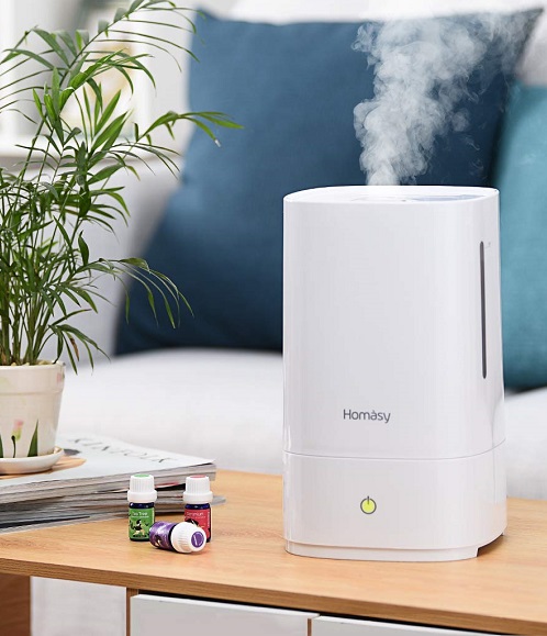 Best Humidifier For House Plants for 2022